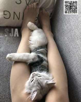 欧美图片头像粉色_高清电影完整版在线观看